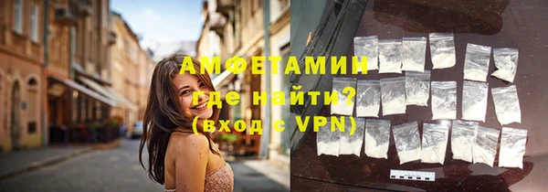 прущие грибы Беломорск