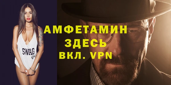 прущие грибы Беломорск