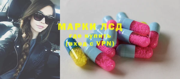прущие грибы Беломорск