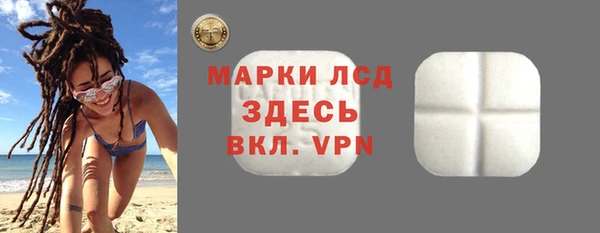 прущие грибы Беломорск