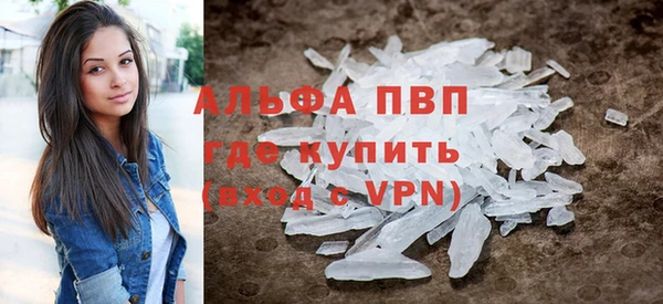 прущие грибы Беломорск