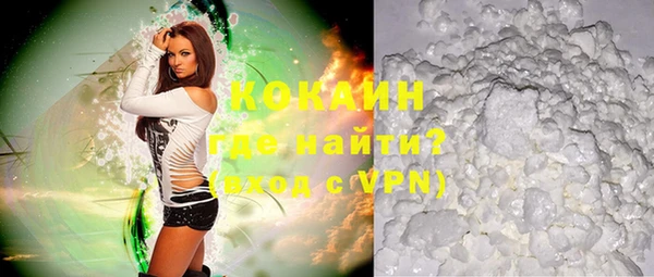 прущие грибы Беломорск