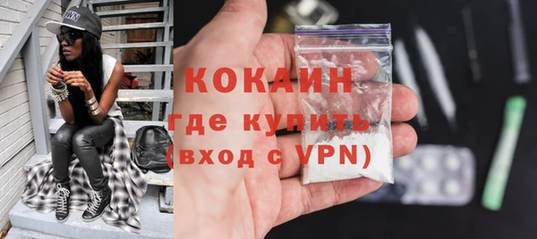 прущие грибы Беломорск