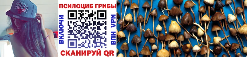 купить наркоту Белоусово Галлюциногенные грибы мицелий